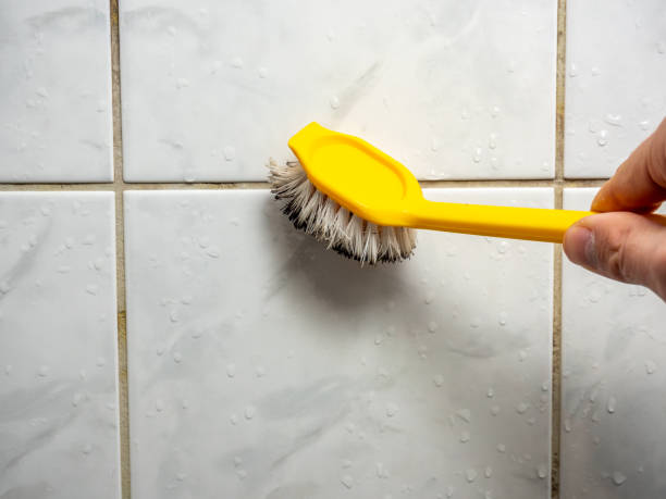 Best Water Damage Restoration  in Country Club Hills, MO