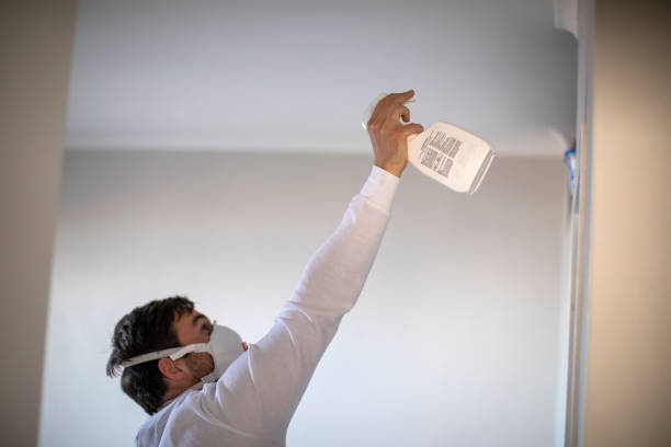 Trusted Country Club Hills, MO Mold Removal Experts