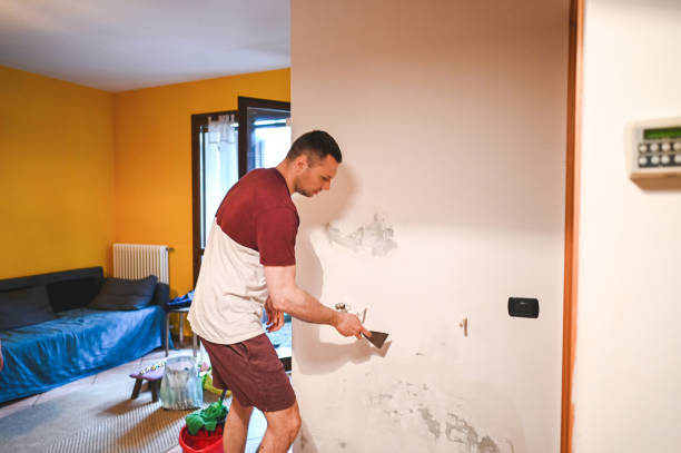 Best Certified Mold Removal  in Country Club Hills, MO