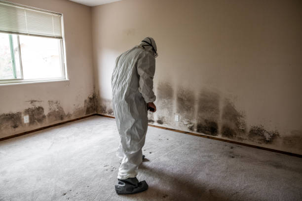 Best Residential Mold Removal  in Country Club Hills, MO