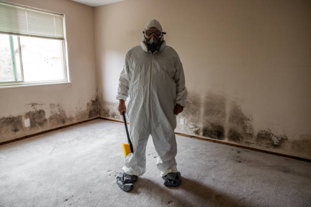 Crawl Space Mold Removal in Country Club Hills, MO